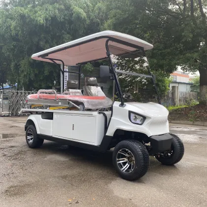 Electric Ambulance Vehicle