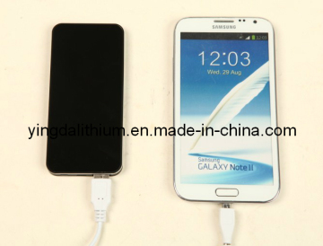 8000mAh High Quality Power Bank