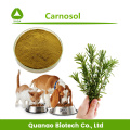 Additif alimentaire pour animaux de compagnie Salviol / carnosol à 20% de poudre