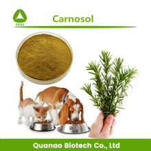 Haustiernahrung Additive Salviol / Carnosol 20% Pulver