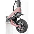 Offroad Electric Scooter 2 roți 1200W*2