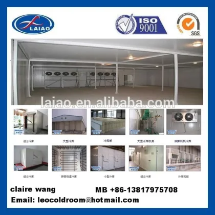 dry food shop store cool room frozen freezer