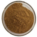 Venta en caliente Coriolus Versicolor Powder con polisacárido