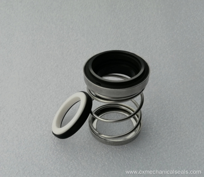 Replace Flowserve Type 21 Mechanical seals