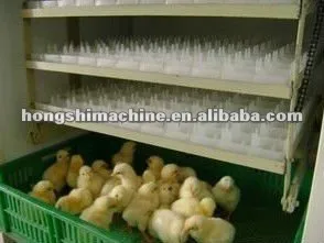 Medium-Sized Incubator Eggs Incubator for Poultry Equipment