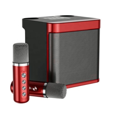 2023 ใหม่ Hot Selling 10W Wireless Karaoke Speaker System พร้อมไมโครโฟนไร้สายคู่สำหรับปาร์ตี้โทรศัพท์มือถือ (YS-203)
