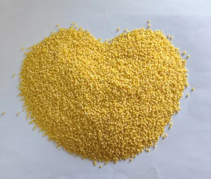 Wholesale Premium Chinese Millet: A Nutritious Treasure for the World