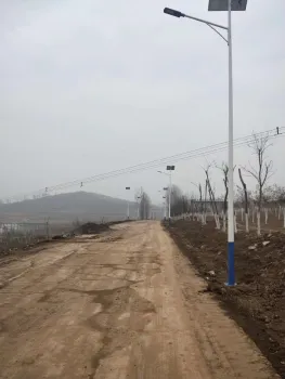 Solar Street Light