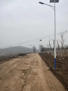 Solar Street Light