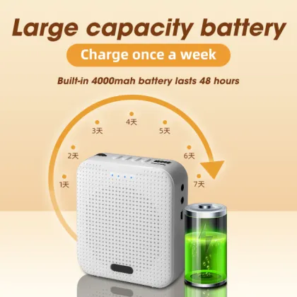 Portable Voice Amplifier Speaker with Headset Microphone: Perfect Tool for Teachers