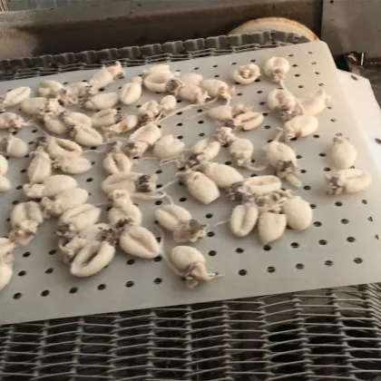 Food Quick Freezing Tunnel Machine