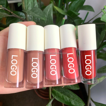 Factory Vegan Wholesale Liquid Lipstick - 50 Colors, Private Label, Waterproof, Glossy Lip Tint