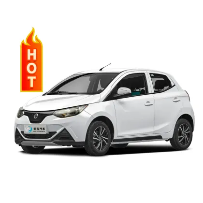 Jiang Ling Kylin 2024 Electric Hatchback: Mini Car by Reynold Jiang Ling Group