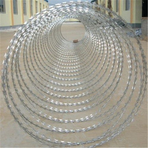 galvanized razor barbed wire