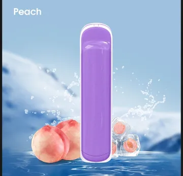 Cloudy Vape Durable Coolplay 500 Puff Vape