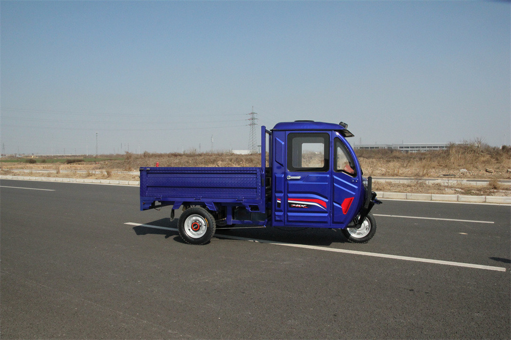 Three-wheeled electric mobility vehicle