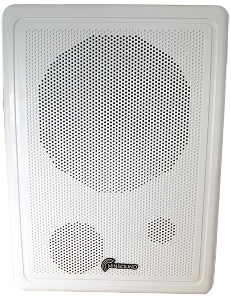 Wall-mounted Loud Speakers