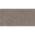Τσιμεντένια υφή 600*1200 Πλακάκια πορσελάνης φινιρίσματος ματ
