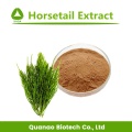 Horsetail Extract Silica 7% Powder Hair Grown