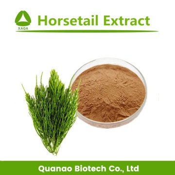 Horsetail Extract Silica 7% Powder Hair Grown