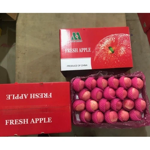 Fresh Chinese Red Gala Apples - China Fresh Paper Bagged FUJI