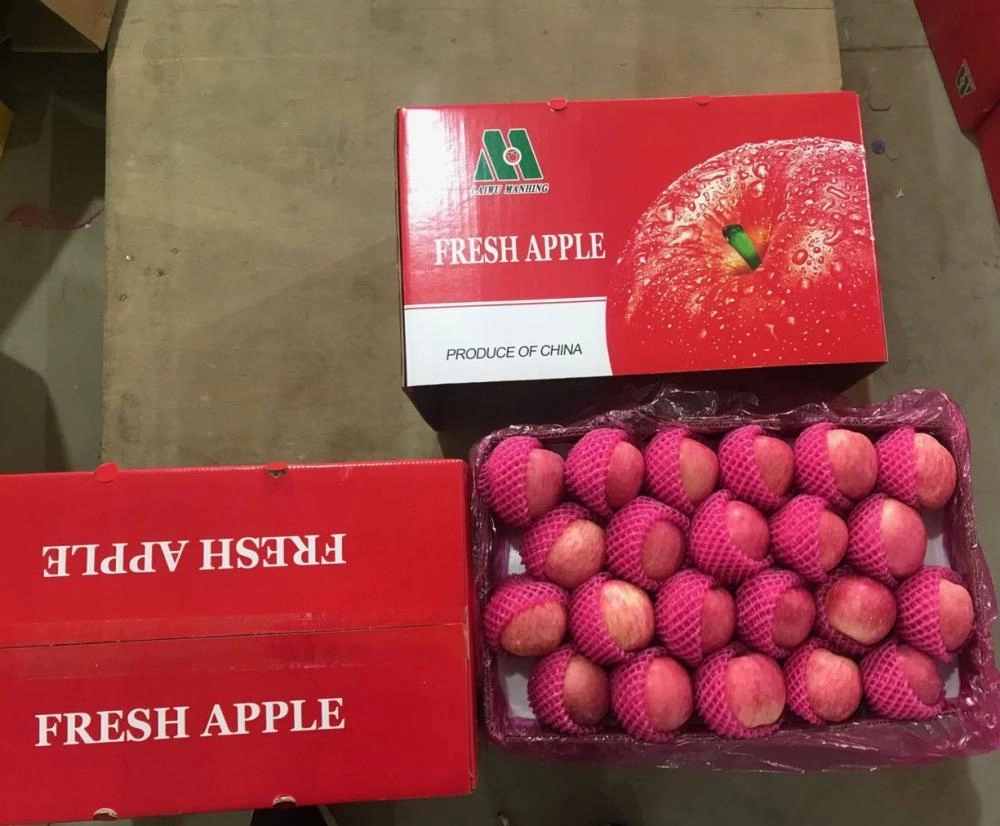 Chinese Top Quality Fuji Apples China Manufacturer