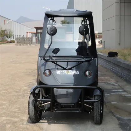 Six Seater Electric Car