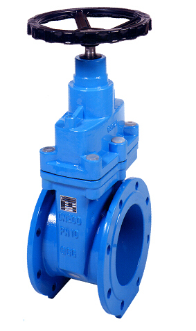 Resilient Seated Wedge Gate Valve