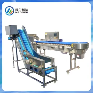 Seafood and Poultry Sorting Conveyor
