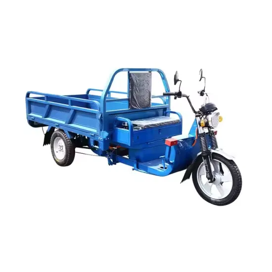 Wholesale Dump Cargo Motorized Tricycle with 1000W Engine