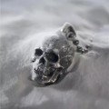 «Серебряный кулон" The The Skull "