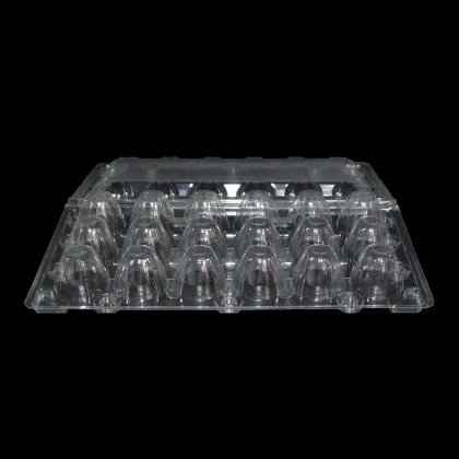 18 Pack PVC Quail Eggs Tray - 18 Holes Plastic Bilter Package