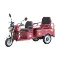 Recreational electric tricycle for passengers adult