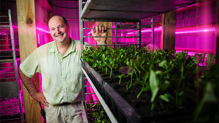 Bailey-Nurseries-Inc-plant-grow-lights