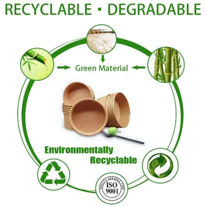 China Factory ODM OEM Biodegradable Salad Bowl with Lid