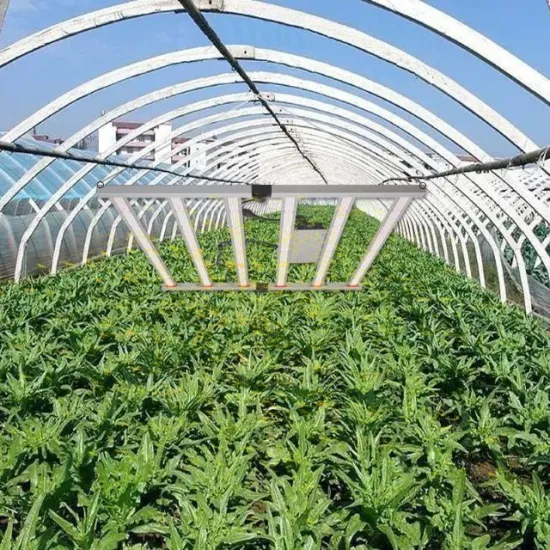 650W LED Grow Light with Full Spectrum LM301 for Indoor Plants and Flowers