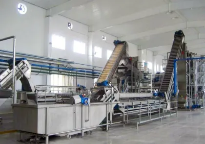 SUS304 fruit and vegetable washing line