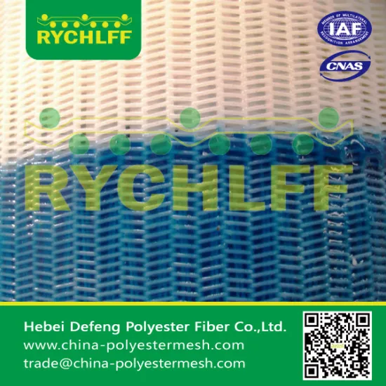 polyester spiral dryer fabrics for paper making/industrial fruit dryers