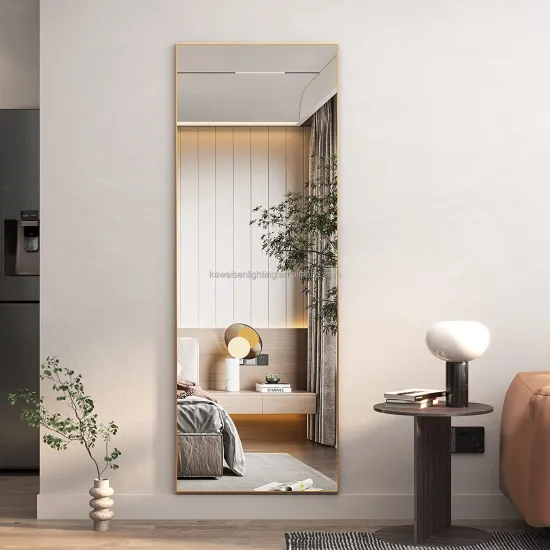 Thickened Aluminum Frame 65"x22" Full Length Dimmable Floor Mirror for Wall & Floor Installation