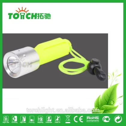 Super Bright Diving LED Flashlight Flash light Torch