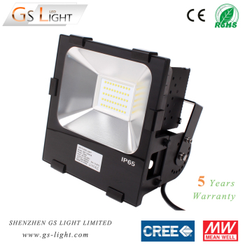 100W LED Flood Light with CREE