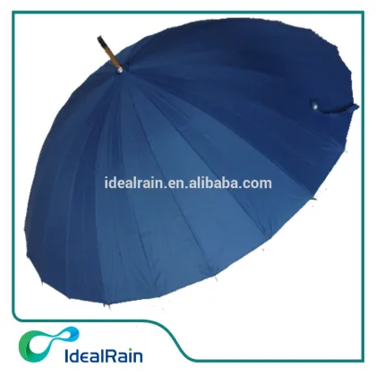 Doorman limousine elegant king umbrella