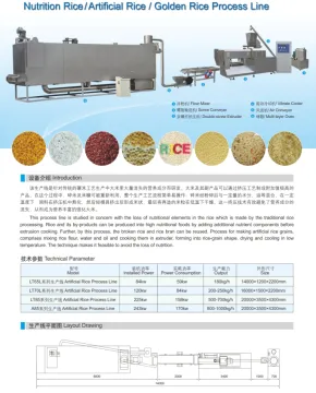 Nutrition Rice/Artificial Rice/Golden Rice Process Line