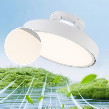 Smart Acrylic LED Ceiling Fan with Light - Hot Sale for Indoor Living Room and Bedroom