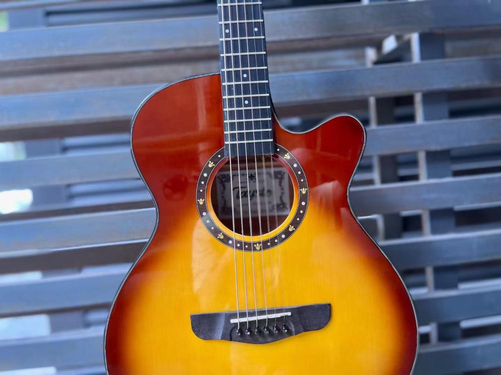 Ts452 Acoustic Guitar