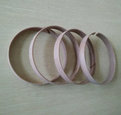 Plastic Nylon Guide Ring Derlin Support Ring
