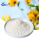 Jerusalem artichoke powder Fresh Fiber Mineral