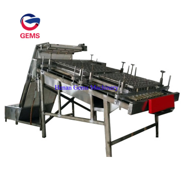 Prawn Shell Peeling Machine Shrimp Peeler Deveiner Machine