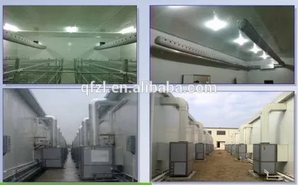Mushroom Cultivation Equipment White Button Mushroom
