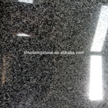 Polished Padang Dark G654 Granite